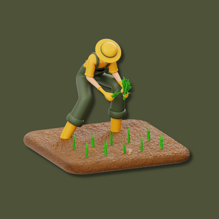 Plantio