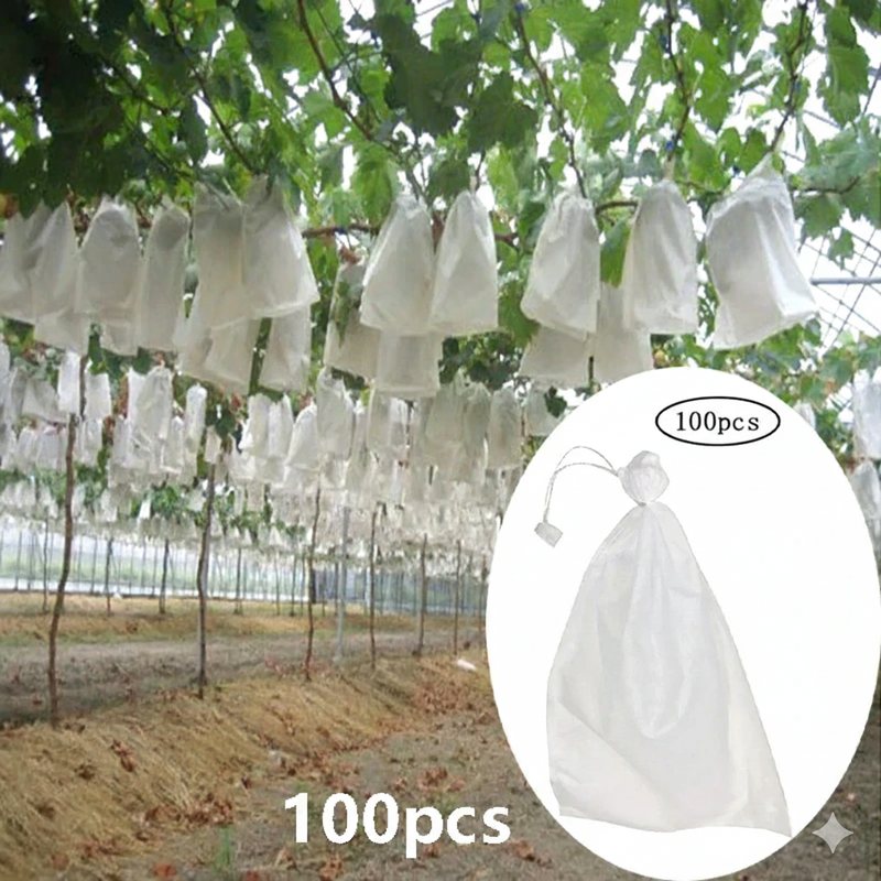 100 Sacos de Proteção para Frutas – Morango, Uva e Jardim...