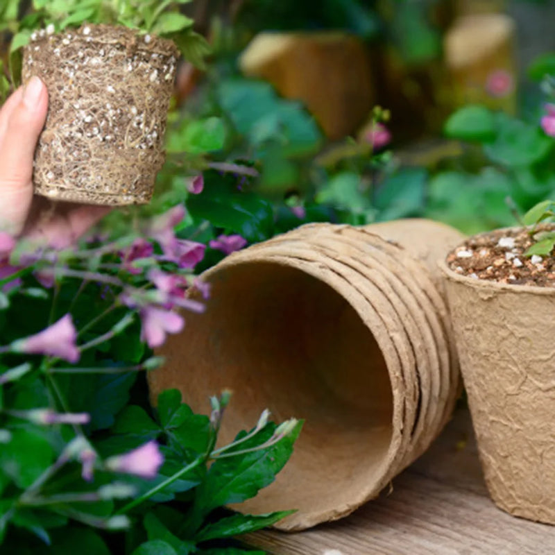 Kit 50 Vasos de Turfa Biodegradáveis – Início Perfeito para Mudas