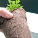 Kit 50 Vasos de Turfa Biodegradáveis – Início Perfeito para Mudas