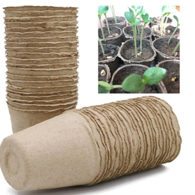 Kit 50 Vasos de Turfa Biodegradáveis – Início Perfeito para Mudas