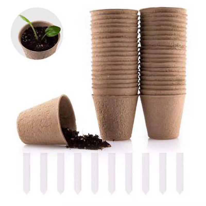 Kit 50 Vasos de Turfa Biodegradáveis – Início Perfeito para Mudas