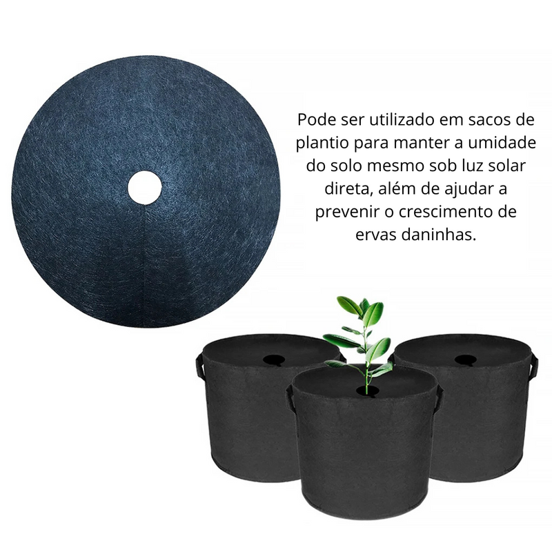 Discos protetores para mudas