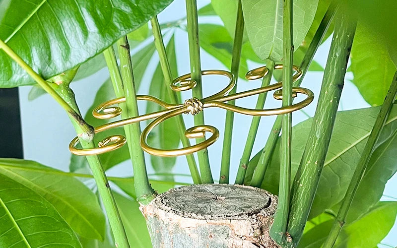 Suporte de Haste para Plantas – Monstera e Trepadeiras