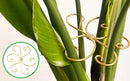 Suporte de Haste para Plantas – Monstera e Trepadeiras