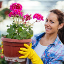 Suporte de Haste para Plantas – Monstera e Trepadeiras