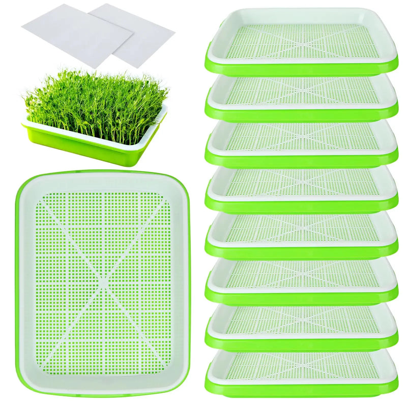 Bandeja Hidropônica para Germinação de Microverdes – 2 Camadas