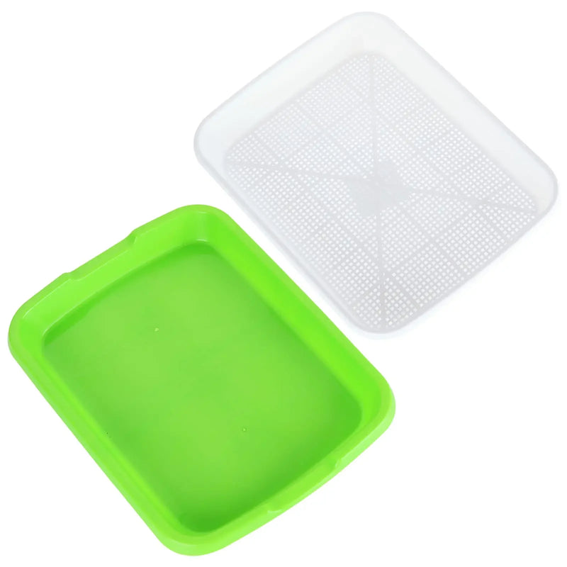 Bandeja Hidropônica para Germinação de Microverdes – 2 Camadas