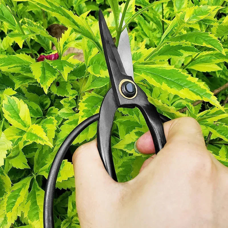 Tesoura de Poda Profissional em Aço Carbono – Cortador de Raízes e Bonsai