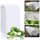 Capa Protetora Térmica para Plantas – Anticongelante em Tecido Não Tecido