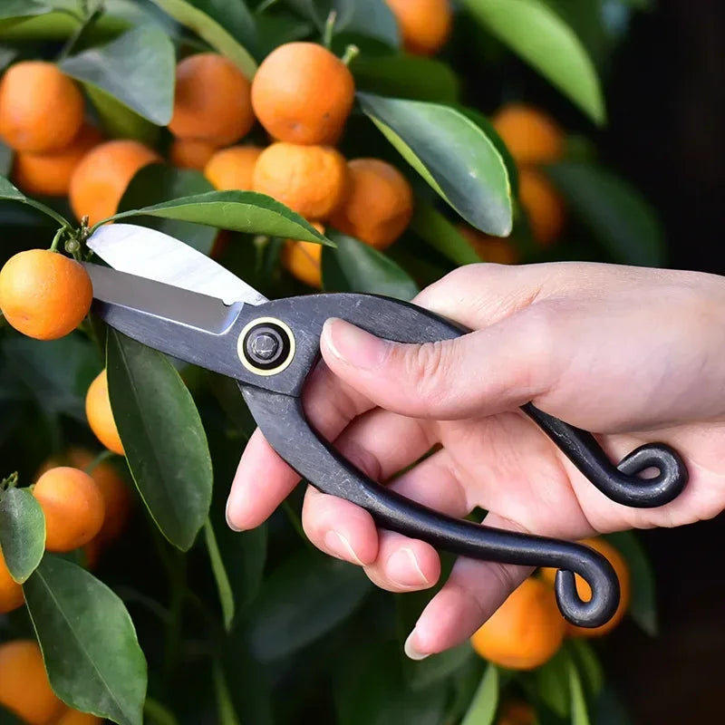 Tesoura de Poda Profissional em Aço Carbono – Cortador de Raízes e Bonsai