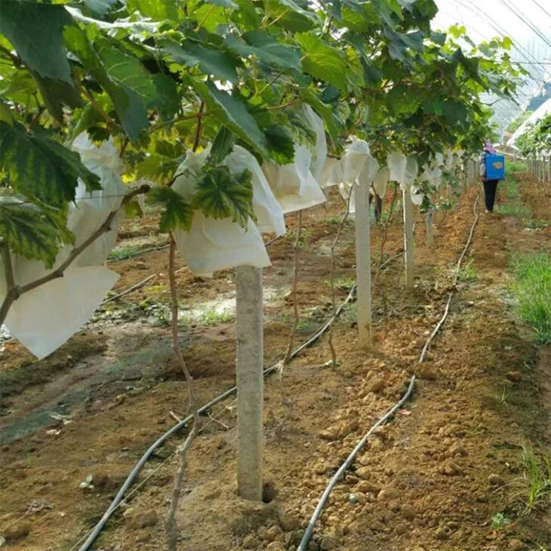 100 Sacos de Proteção para Frutas – Morango, Uva e Jardim...
