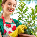 Suporte de Haste para Plantas – Monstera e Trepadeiras