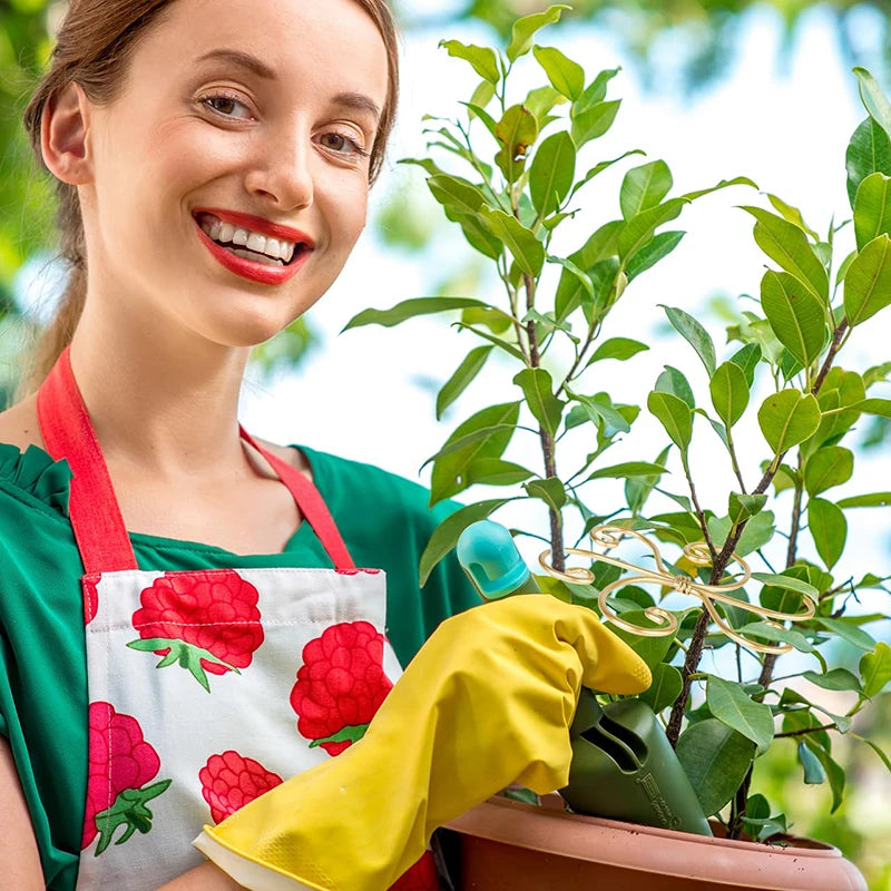 Suporte de Haste para Plantas – Monstera e Trepadeiras
