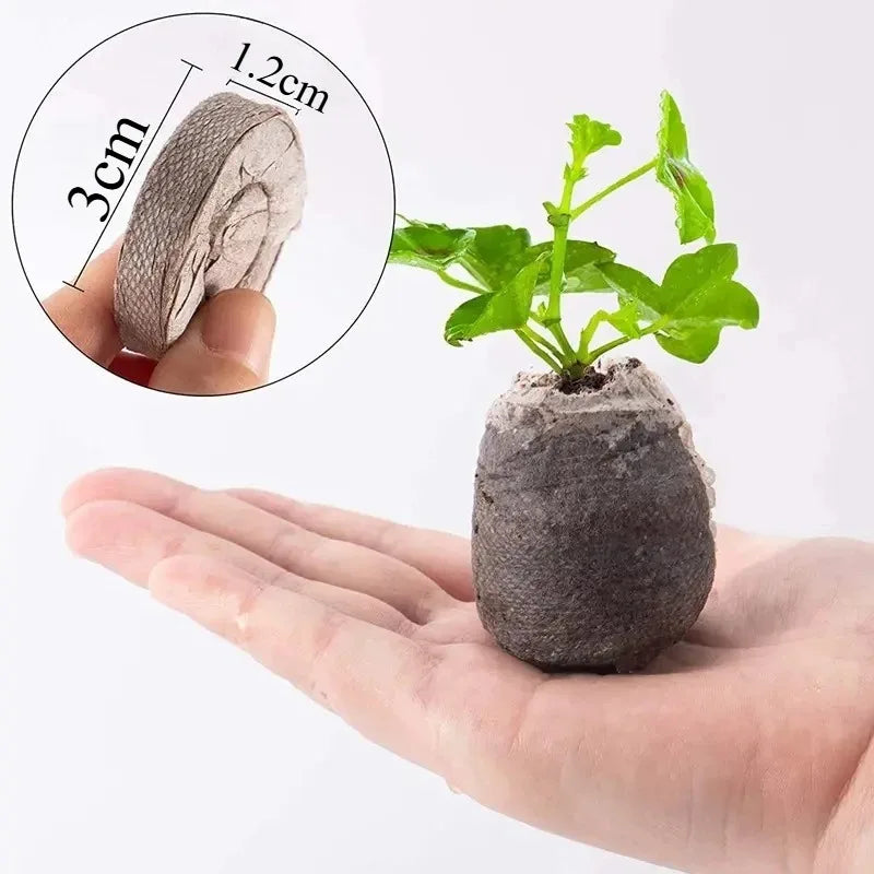 Bloco de Plantio de Fibra Natural – Solo Comprimido Substrato Natural e Sustentável