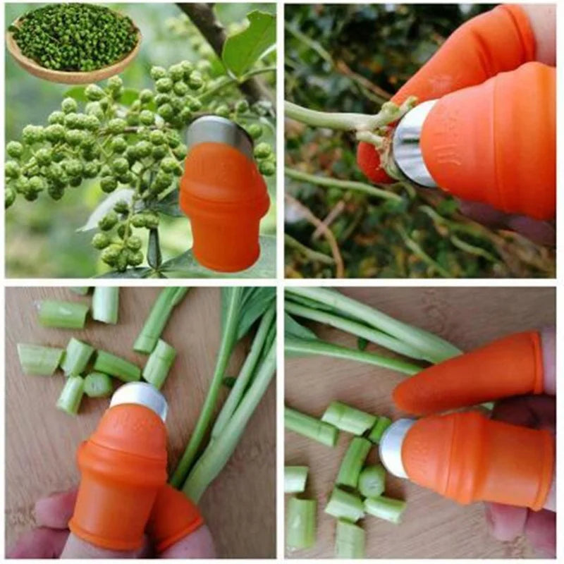 Luva com Unha de Aço para Colheita de Frutas e Hortaliças