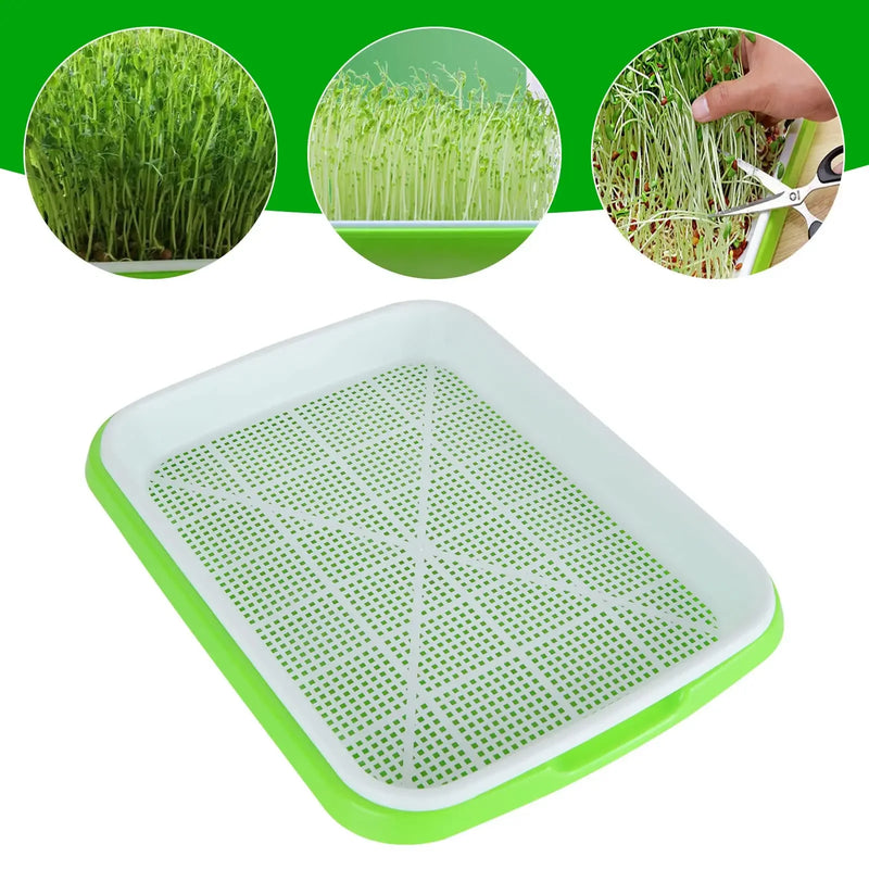 Bandeja Hidropônica para Germinação de Microverdes – 2 Camadas