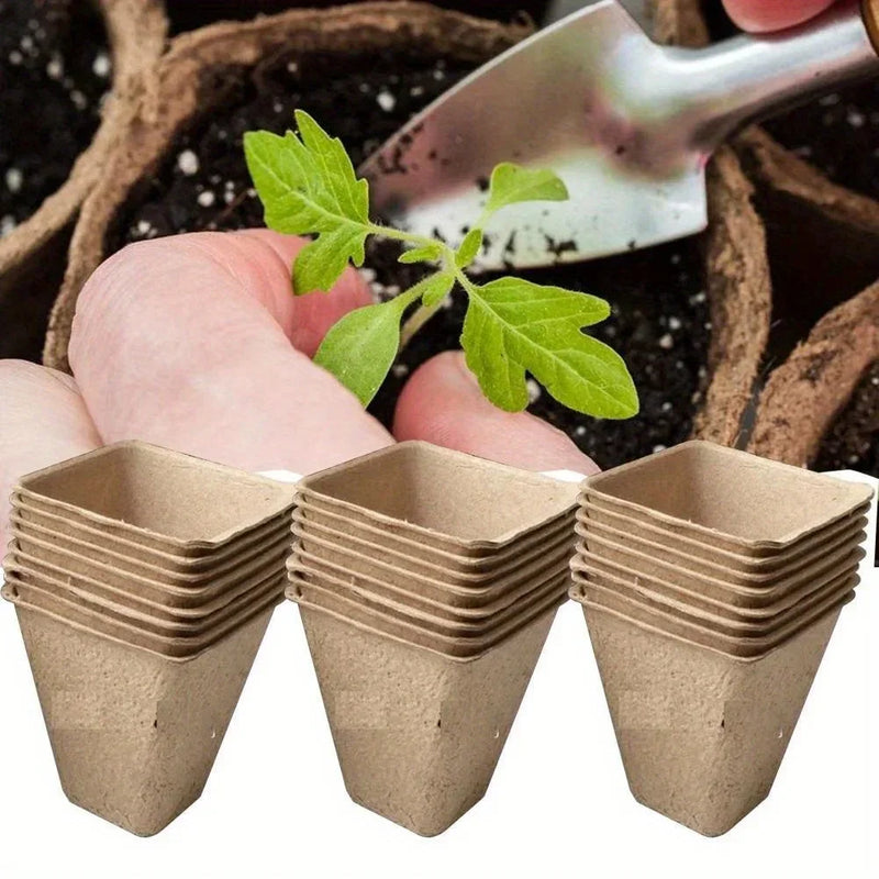 Kit 50 Vasos de Biodegradáveis para Mudas – Copinhos de Papel Pulp 6/8cm