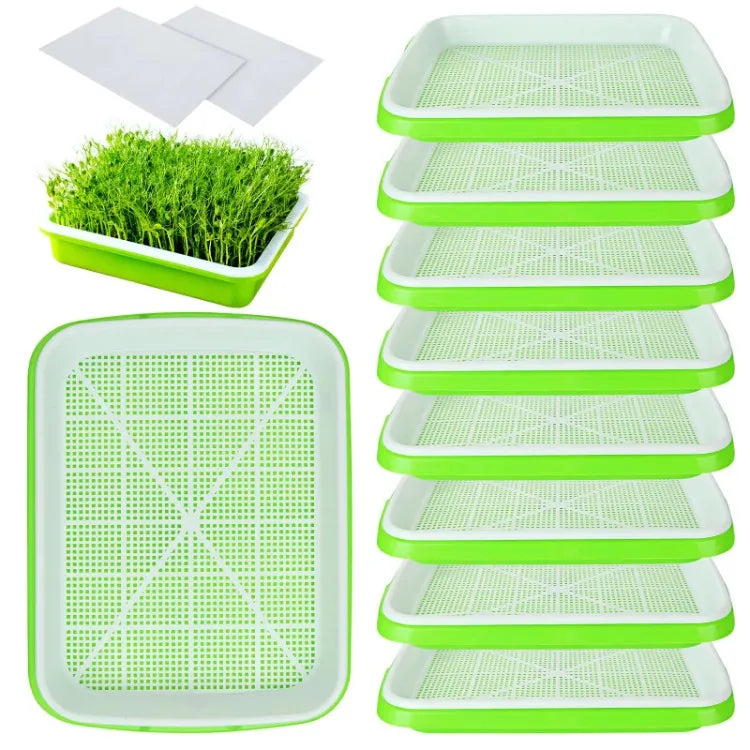 Bandeja Hidropônica para Germinação de Microverdes – 2 Camadas