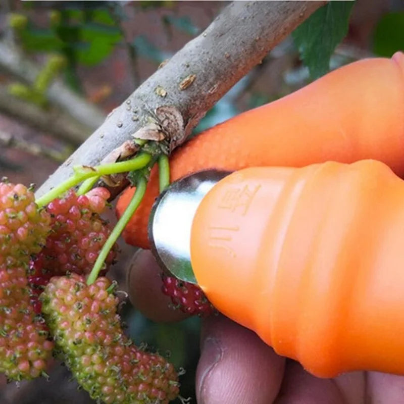 Luva com Unha de Aço para Colheita de Frutas e Hortaliças