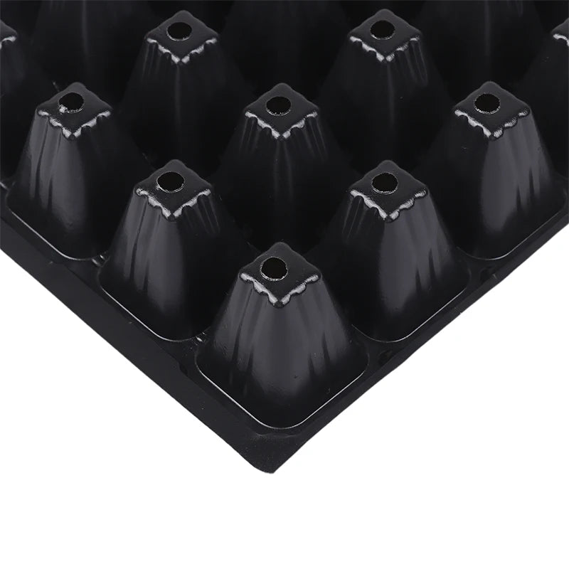 Kit 2 Bandejas de Mudas 50 Células – Germinação Segura