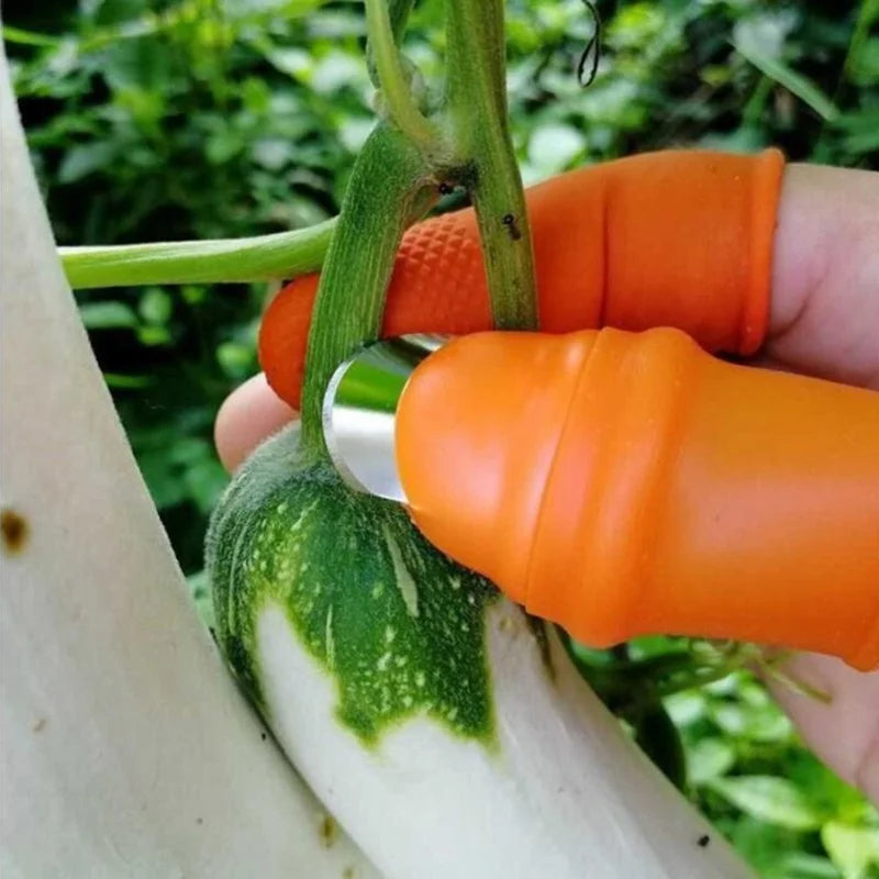Luva com Unha de Aço para Colheita de Frutas e Hortaliças